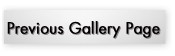 Gallery Pages - Bentz Photography